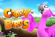 Crazy Birds